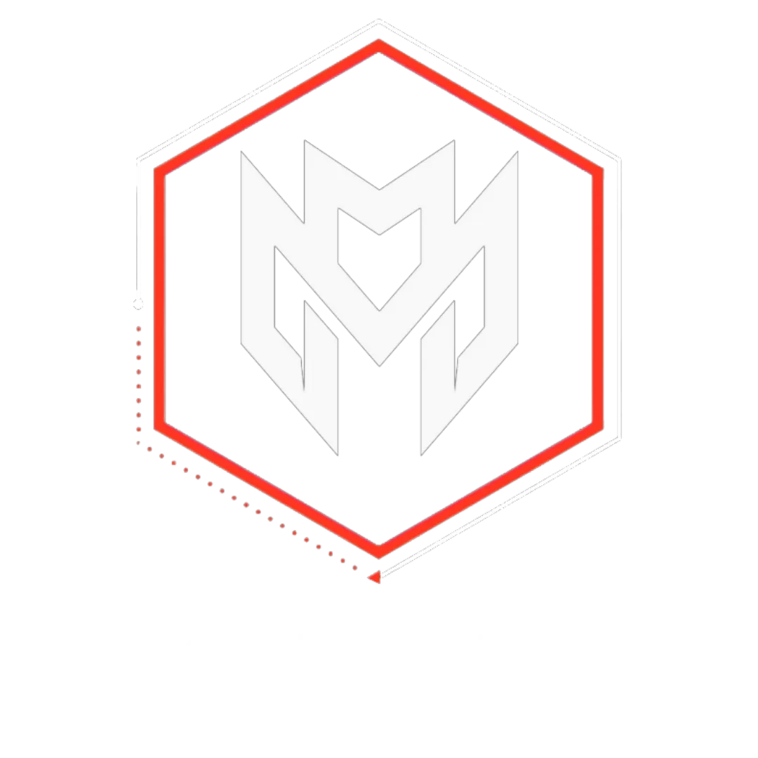publication (2) MetaMurph Studio - Coaching privé, EMS, santé, transformation