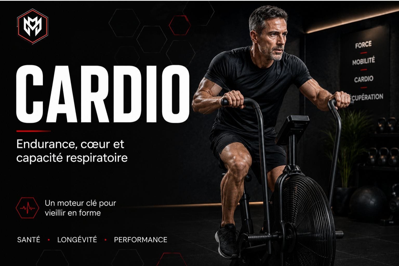 Cardio : Endurance et Capacité Respiratoire | MetaMurph Séance de circuit training cardio en studio équipé MetaMurph, pilier cardio du programme fitness anti-âge
