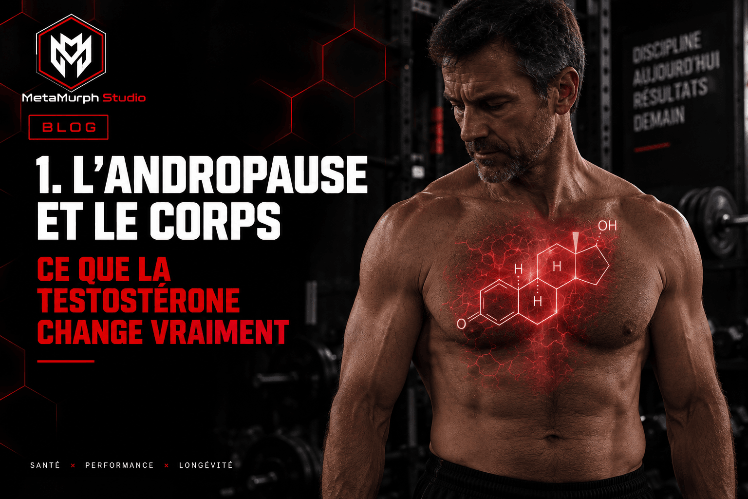 andropose et corps